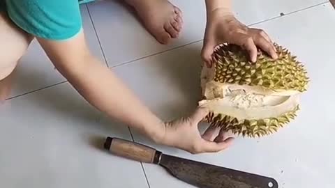 Tragedi belah durian