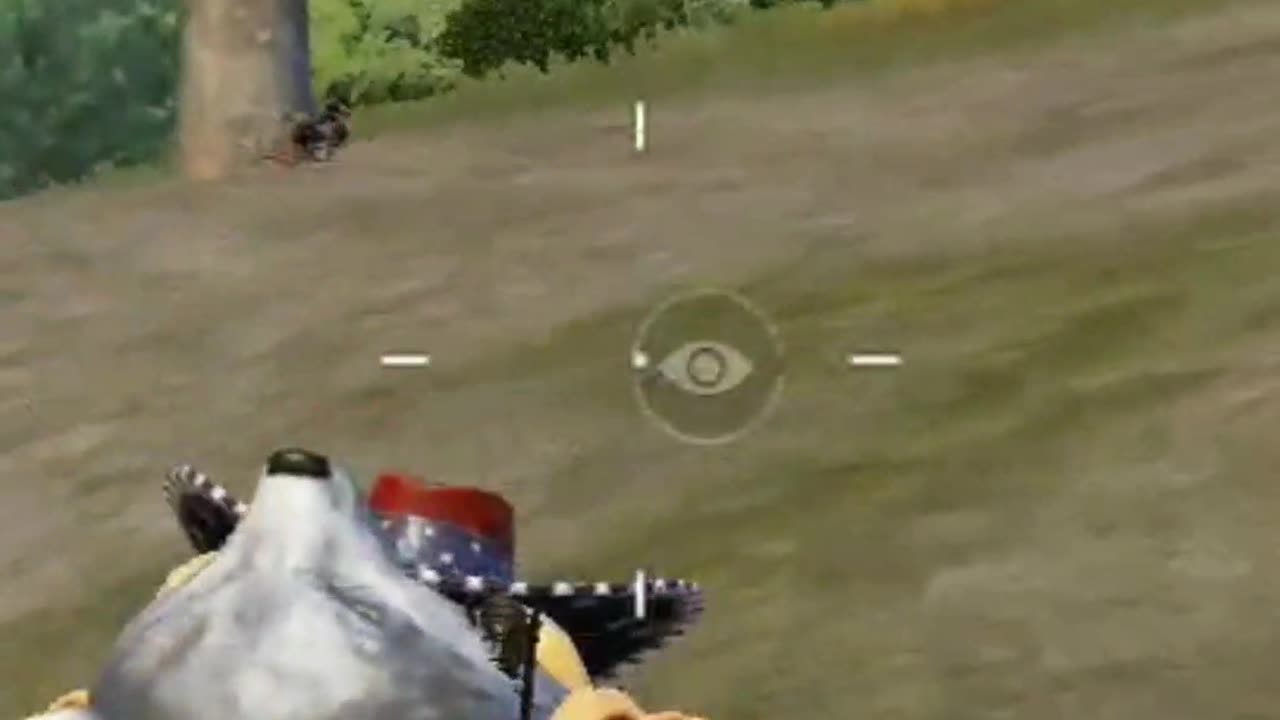 https://youtube.com/shorts/IMANn_q0434?feature=share