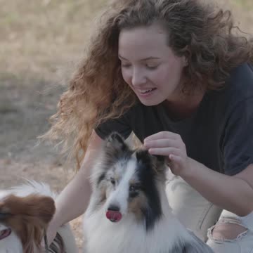 A dog lovers boy happy Diwali