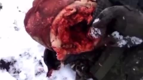 Orc Took Missile to the Face