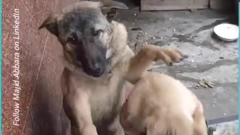 Elevate Your Leadership #shorts #shortvideo #video #virals #videoviral