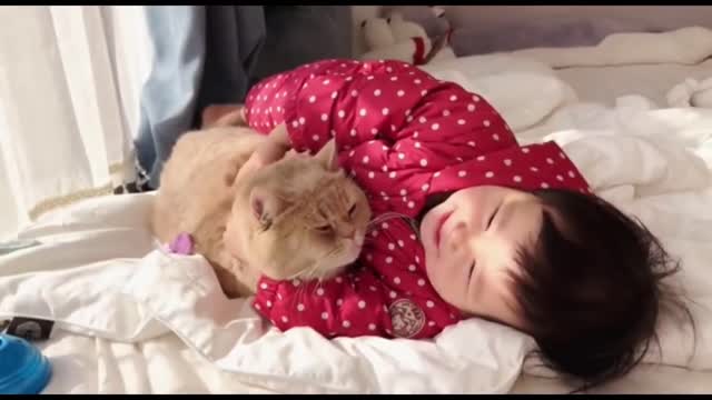 Loving Family Cat Always There For His Little Human Sister.