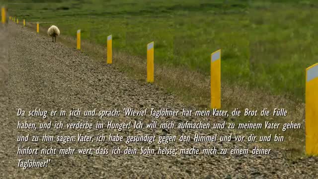 Ich bin euer Hirte & Ich suche Meine verlorenen und verirrten Schafe ❤️ Jesus erklärt Lukas 153-32