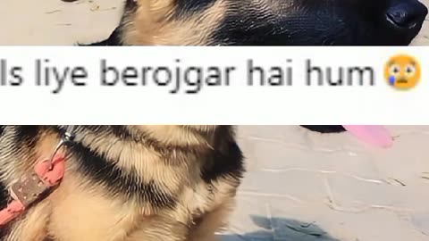 funny comments