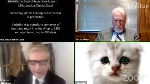 'I’m not a cat': lawyer gets stuck on Zoom kitten filter during court case