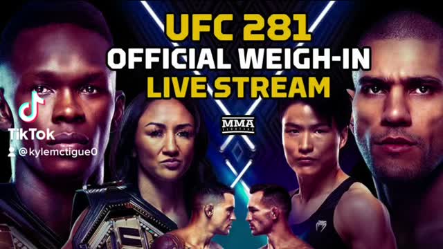UFC 281