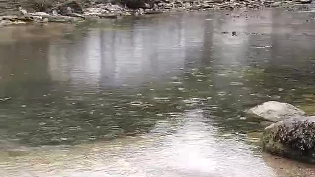 Paddling in Lynton