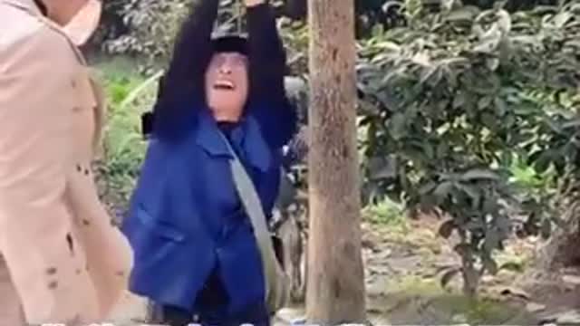 Funny videos collection 2022!