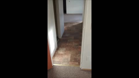 The cockroach dance!