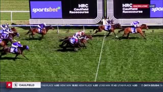 2024 Herbert Power Stakes | Herman Hesse, Haaracaine, Post Impressionist