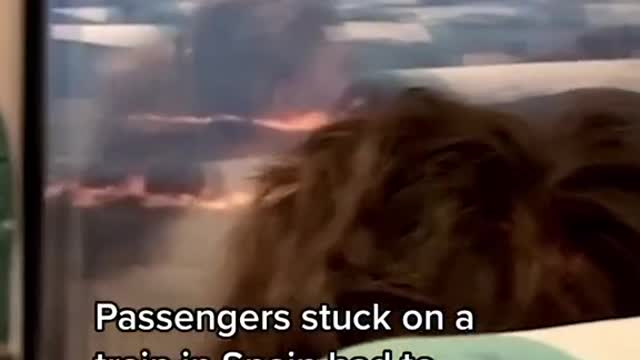 Passengers stuck on atrainrin Spain had to watch and wait as this intense bushfire passed through.