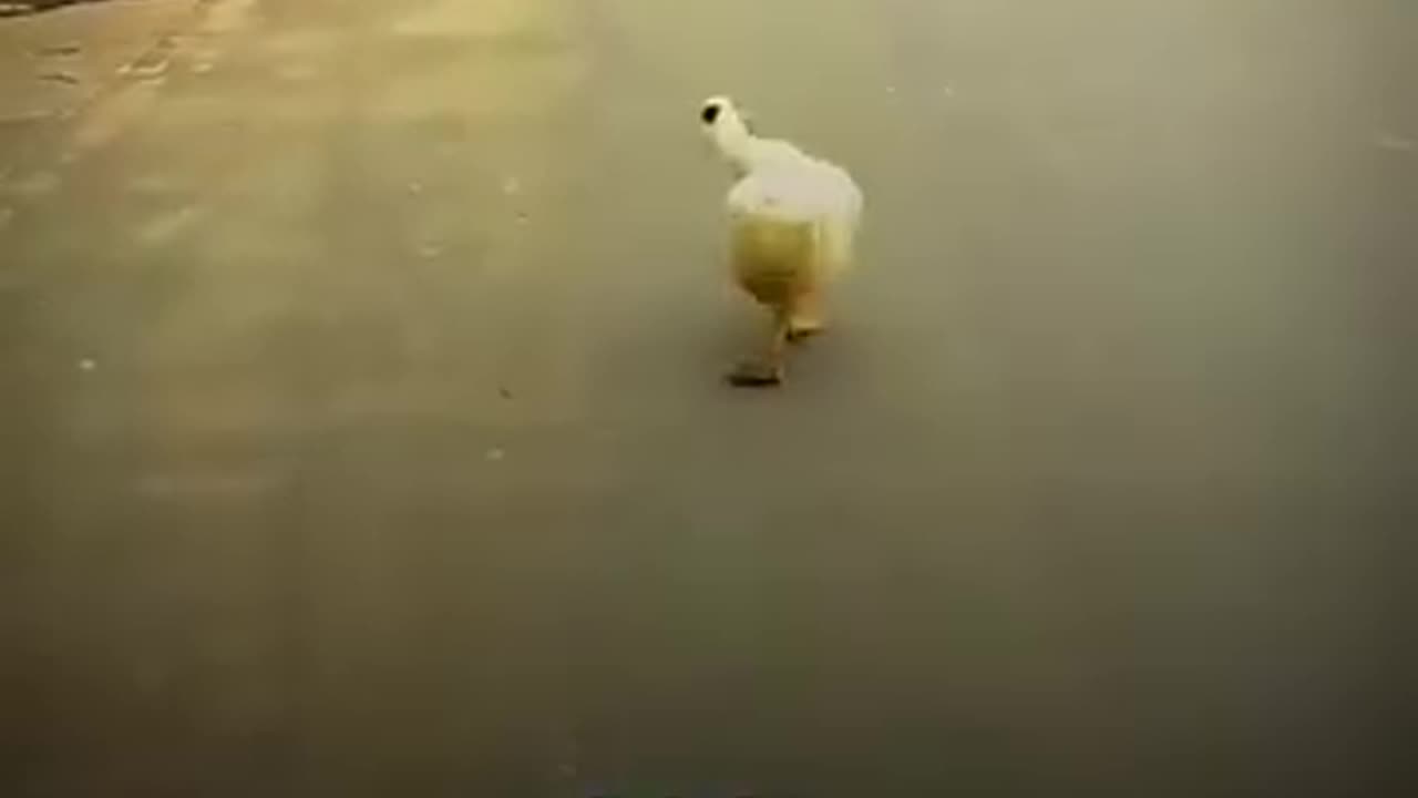 😂 cute🤣