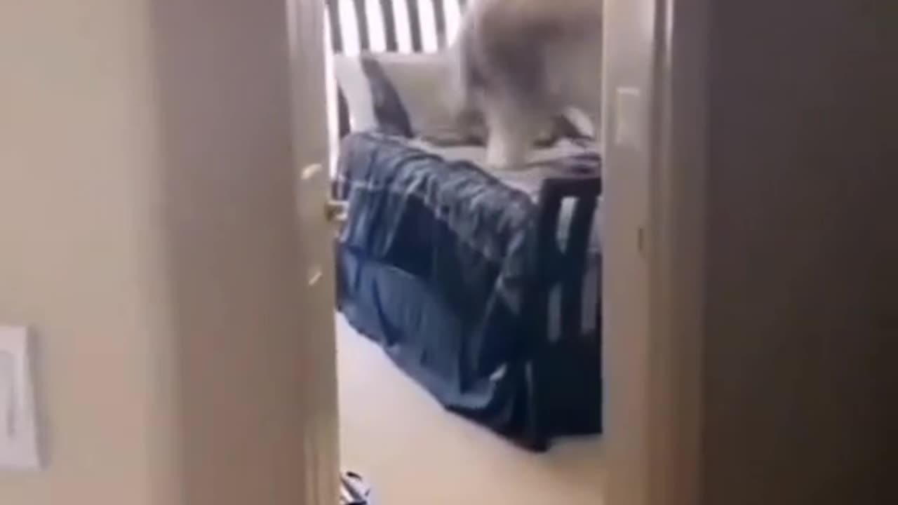 TRY NOT TO LAUGH 😆 Best Funny Videos Compilation 😂😁😆 Memes