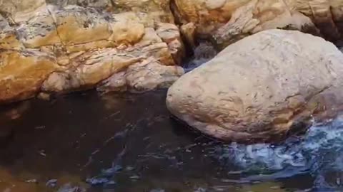 Até tentam copiar meu Instagram usando as mesmas imagens...!