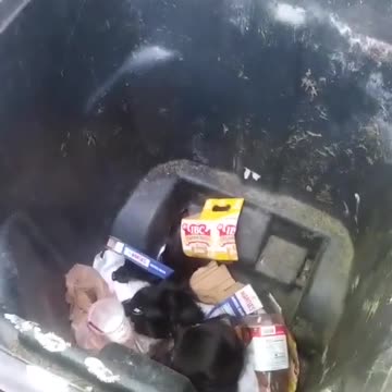 [Cyraxx Youtube 2020-7-24] Cyraxx Official - Where heathers money really went to WIG SCANDAL