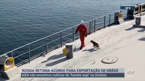 Rússia retoma acordo para exportação de grãos | SBT Brasil (03/11/22)