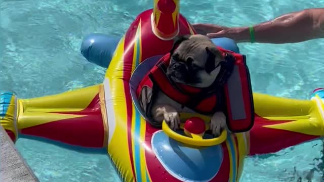 Pup Pilots Pool Toy