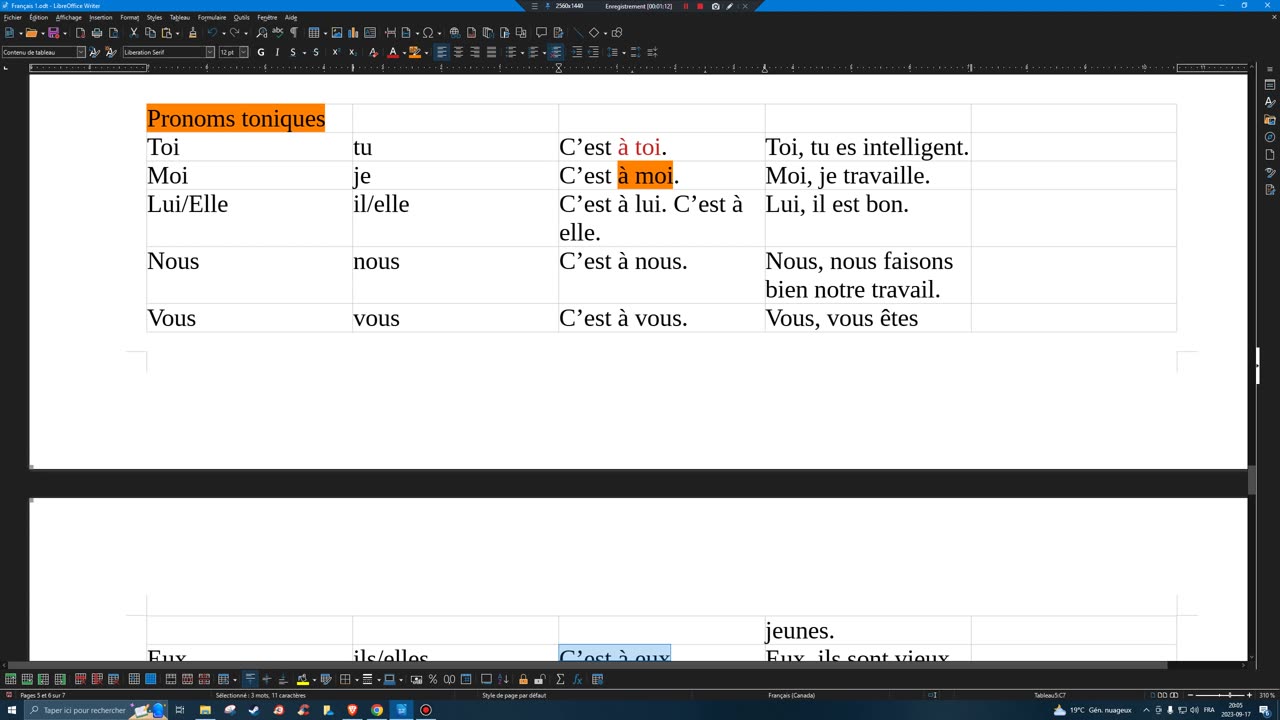 French 17 tonic pronouns