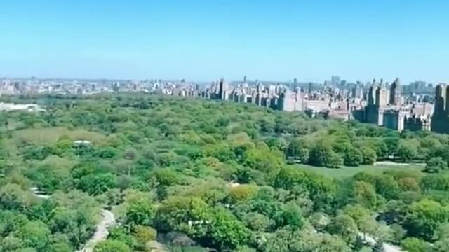 Isn't it shocking to overlook the largest central park in the world? central park