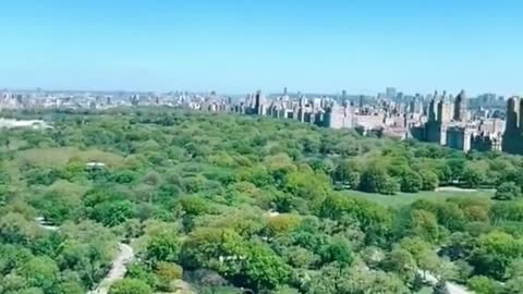 Isn't it shocking to overlook the largest central park in the world? central park