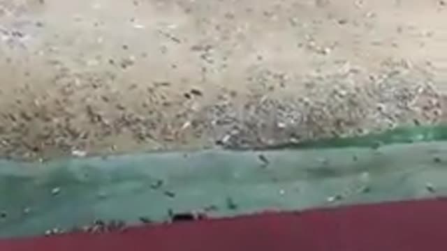 Ginas first handgun shot