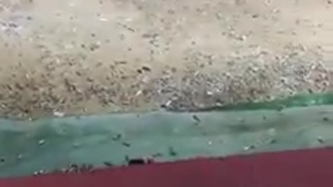 Ginas first handgun shot