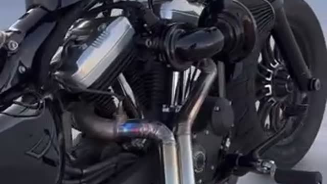 harley davidson