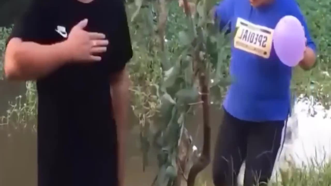 FUNNY VIDEOS COMPILATION #3
