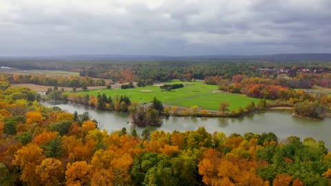 Enchanting Autumn Forests with Beautiful Piano Music