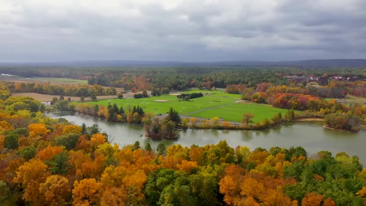Enchanting Autumn Forests with Beautiful Piano Music