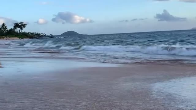 Just another beach scene from Keawakapu beach ... I hope you enjoy this little snippet of Maui 💙🤍💛