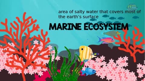 MARINE ECOSYSTEM | Biology Animation