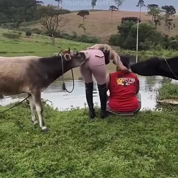 Big Fails Try not to Laugh