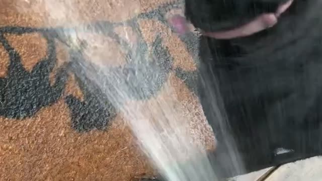 Lab Goes Wild for Hose Water