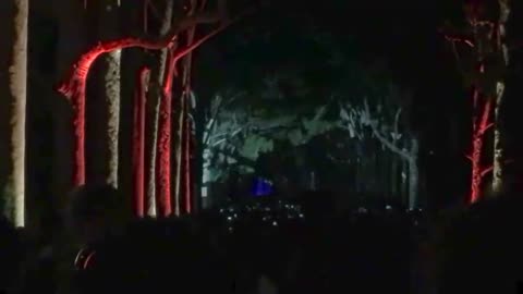 Boorna Waanginy - The Trees Speak 2019 @KingsParkandBotanicGarden