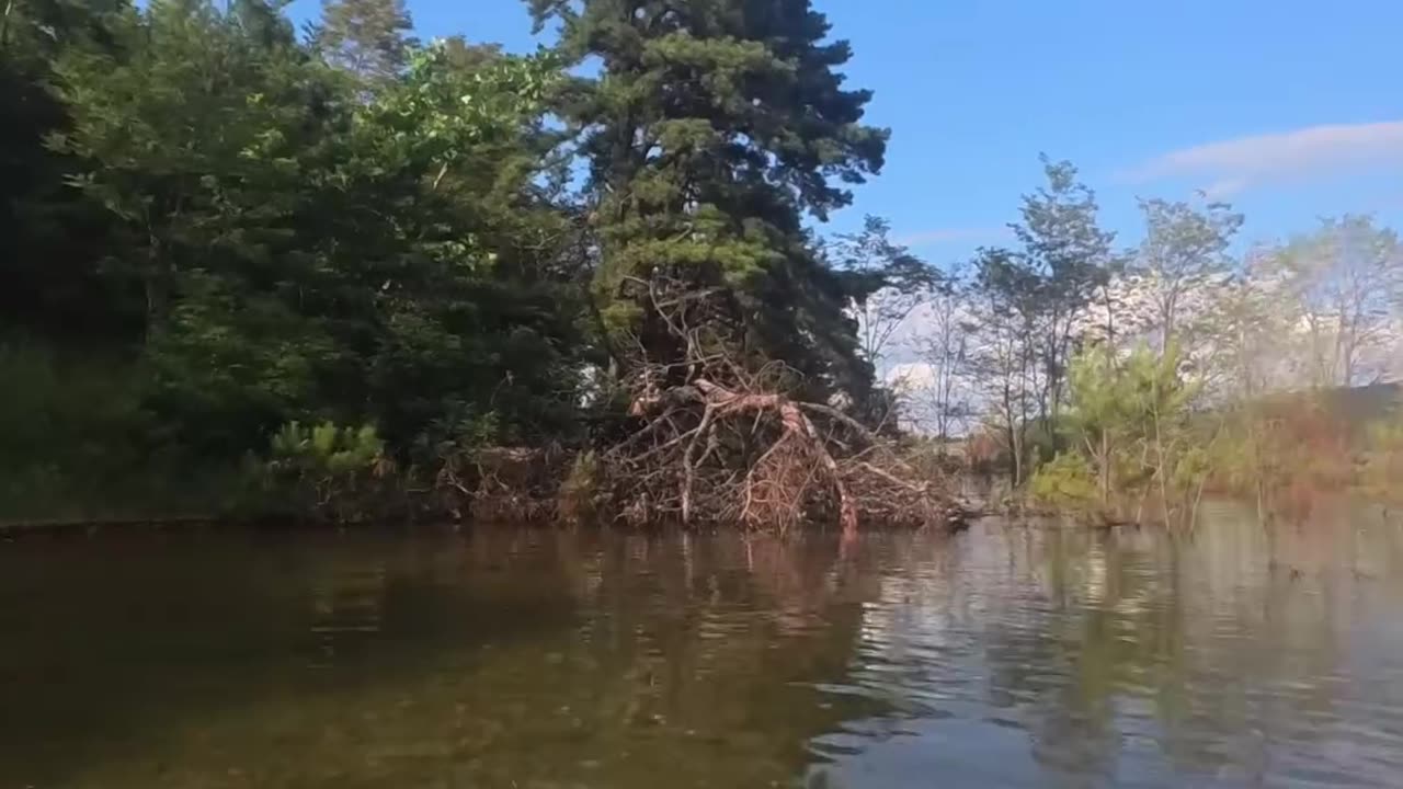 Taking a dip - Round Valley Reservoir - The Good Part - AJR