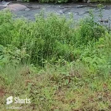 Nature Meditation Relaxing Adirondacks