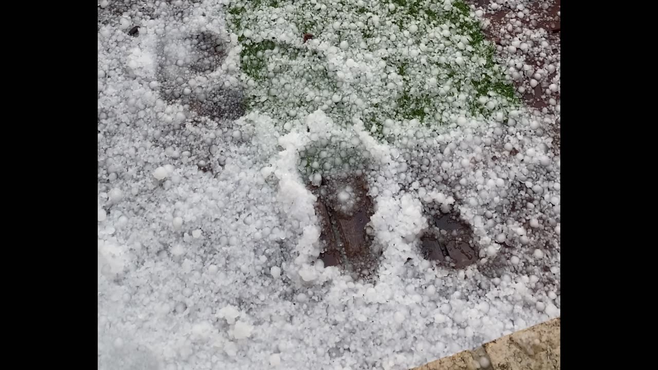 Spring Surprise: Hailstorm Turns Backyard into a Winter Wonderland!