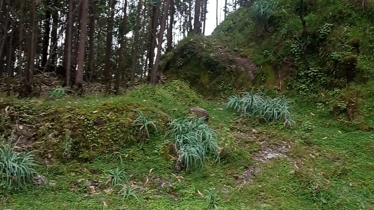 Amazing nature