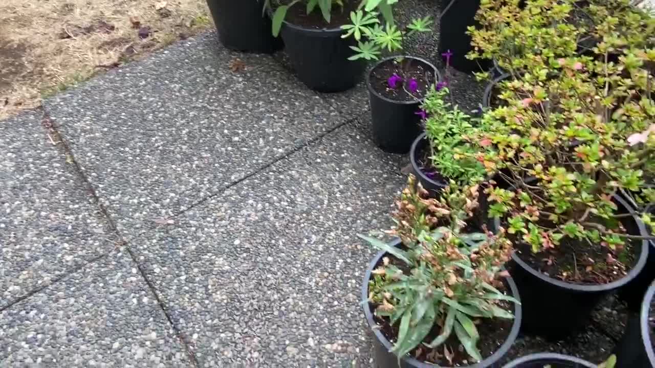 Should I Be Spraying These?