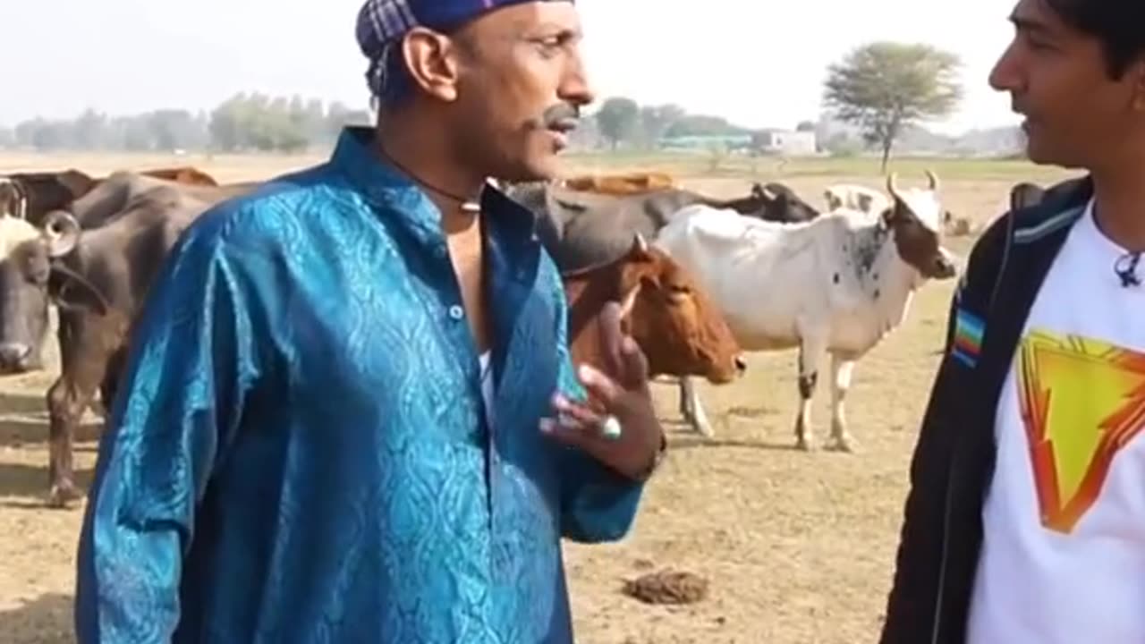 Goga bana ranjha