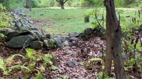 I FOUND IT! Metfern Cemetery Waltham