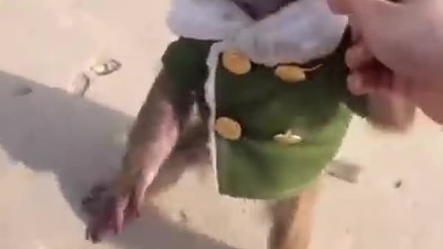 Cry animals