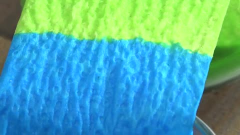 Walking Rainbow Craft