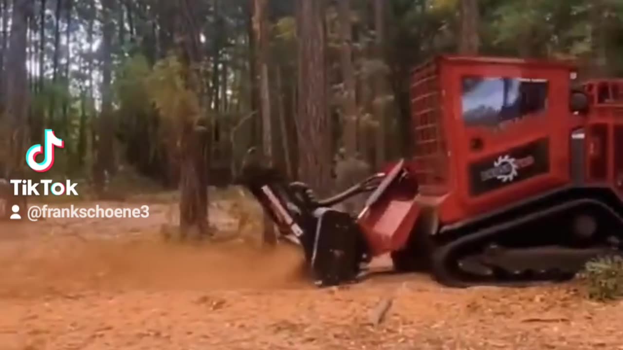 tree destroyer