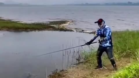 This is a beautiful and charming water-dwelling species