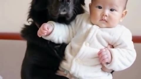 Very funny dog.