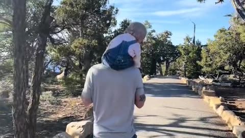 a little of everything - life