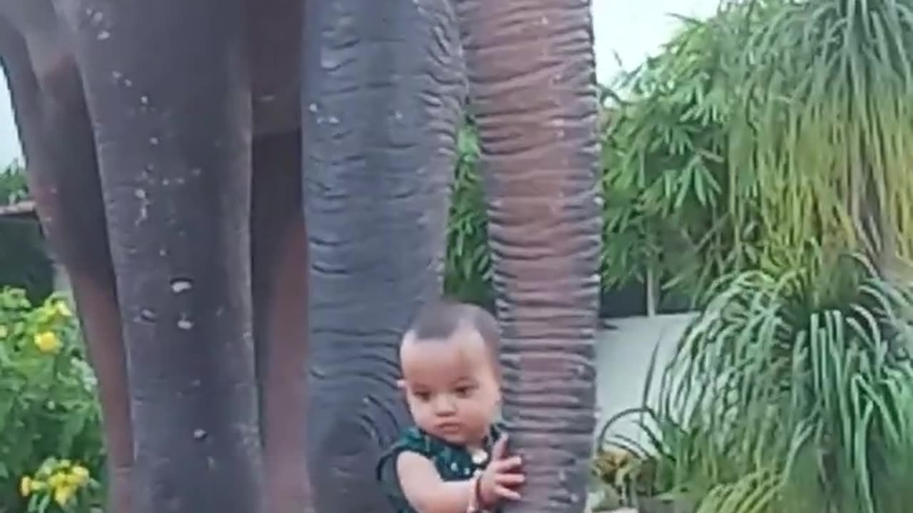 cute baby with elephant #shorts #elephant #shortvideo #youtubeshorts