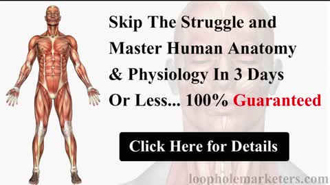 Human Anatomy & Physiology Course